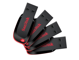 SanDisk 16/32/64/128GB Z50 4 Memory Devices in the Package USB 2.0 5Years