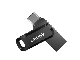 SanDisk DUAL USB3.1/TYPEC GO 256BG Flash Memory SDDDC3-256G-G46 5 Years