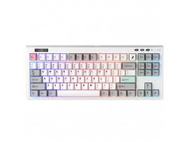 1StPlayer NEO87 Frostwave Mechanical Gaming Keyboard TKL 87-Key RGB Hot-Swap
