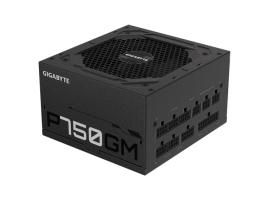 Gigabyte P750GM 750W 80+ Gold Fully Modular ATX GP-P750GM