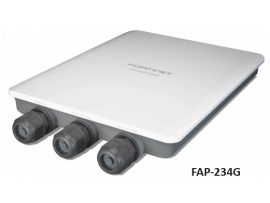 Fortinet FortiAP FAP-234G Outdoor Access point +1 year fortiCare premium support