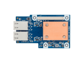 GIGABYTE CLNO222 OCP Mezzanine Type 1 2-Port 10GBASE-T LAN Card Intel X550-AT2